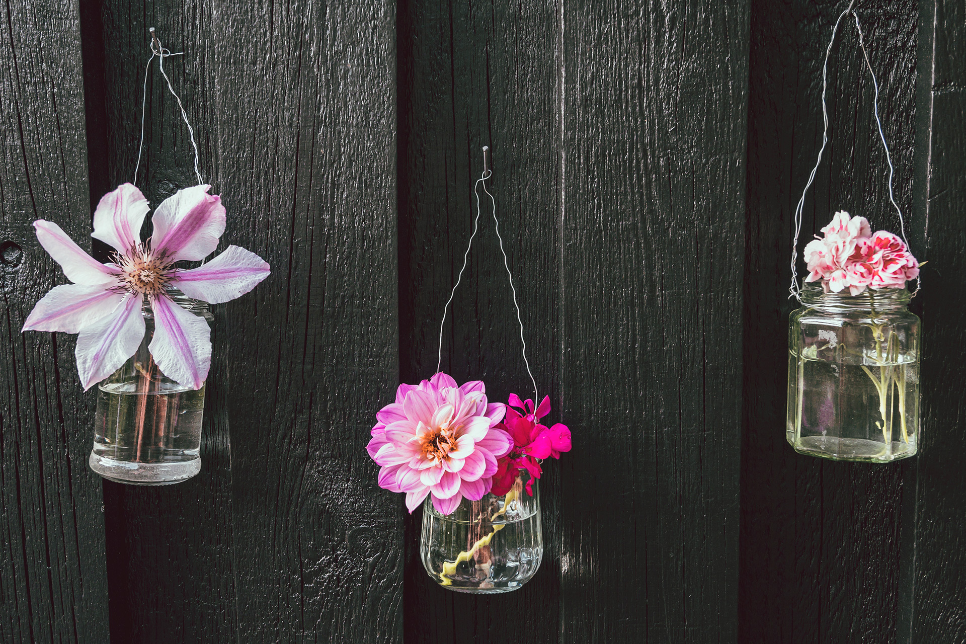 Hängende Blumen in Gläsern an einer Wand