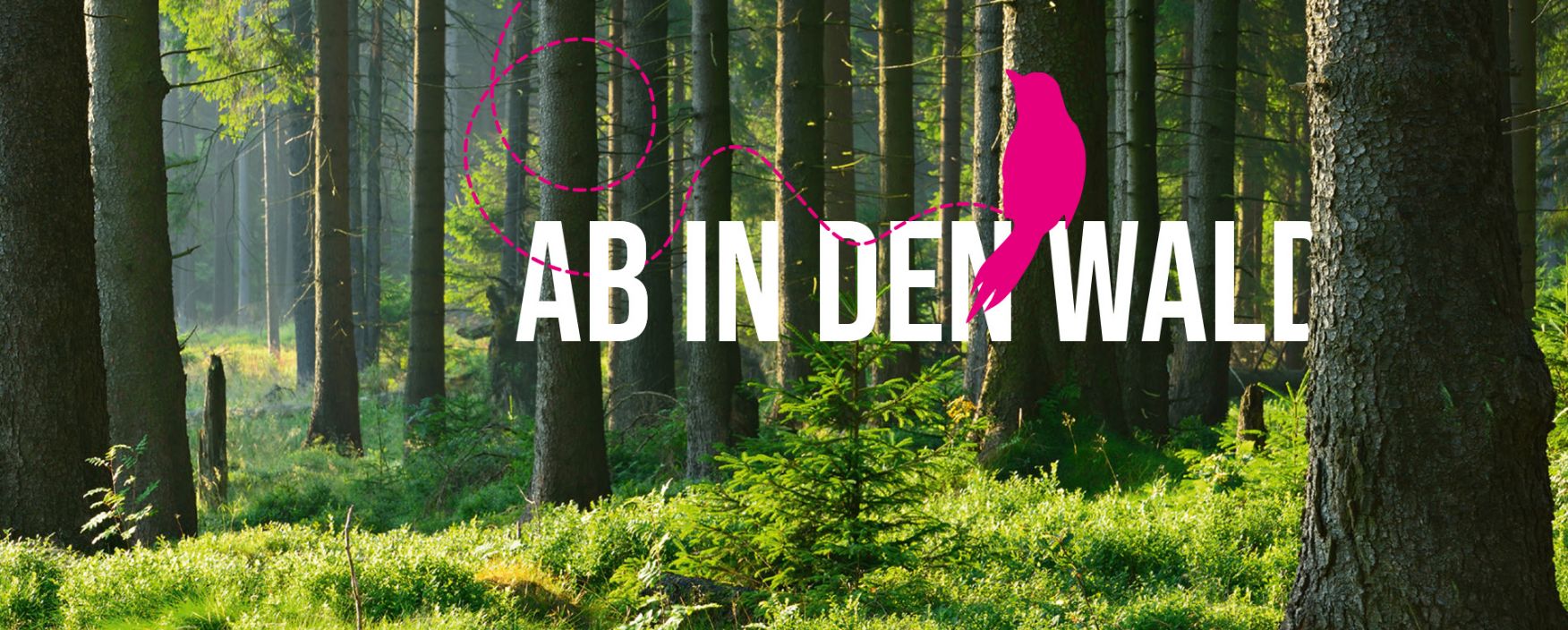 Wald mit Text "Ab in den Wald" und ein pinker Vogel