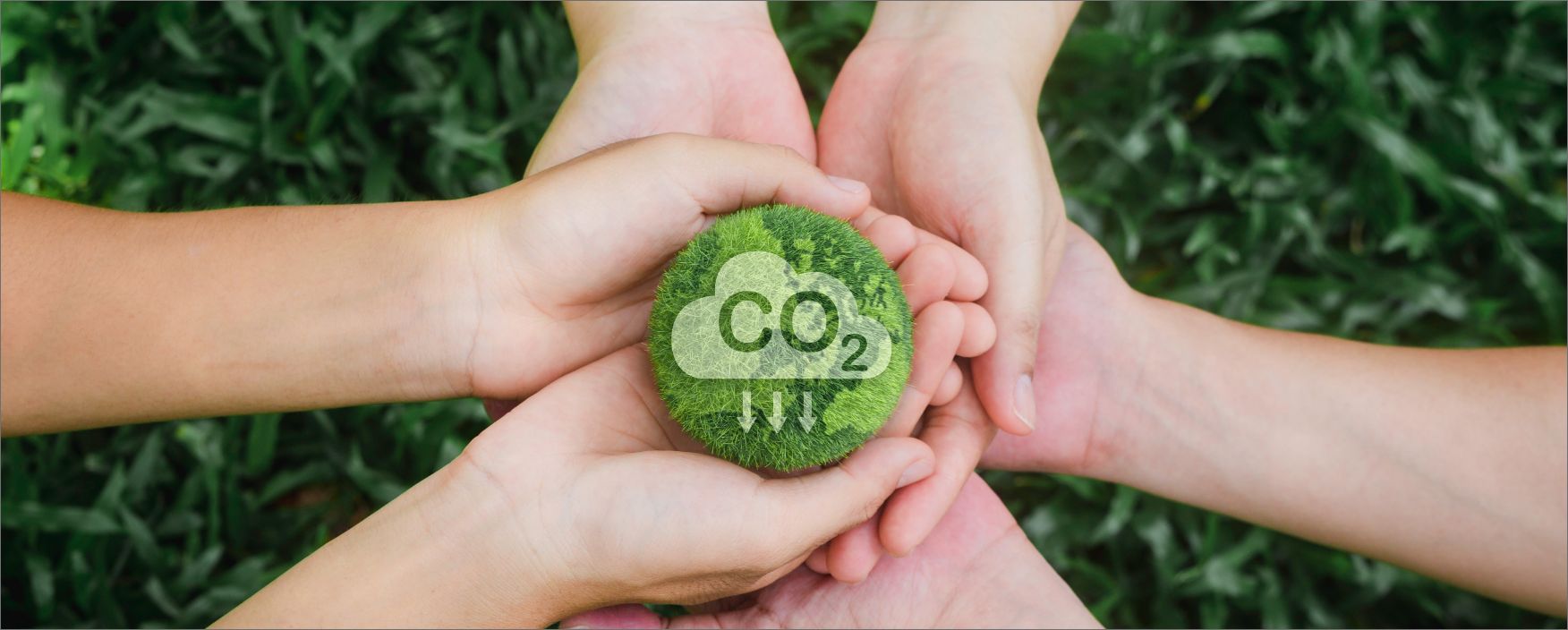 Hände halten ein Stück Gras mit CO2 Symbol