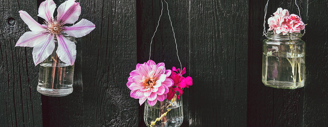 Hängende Blumen in Gläsern an einer Wand