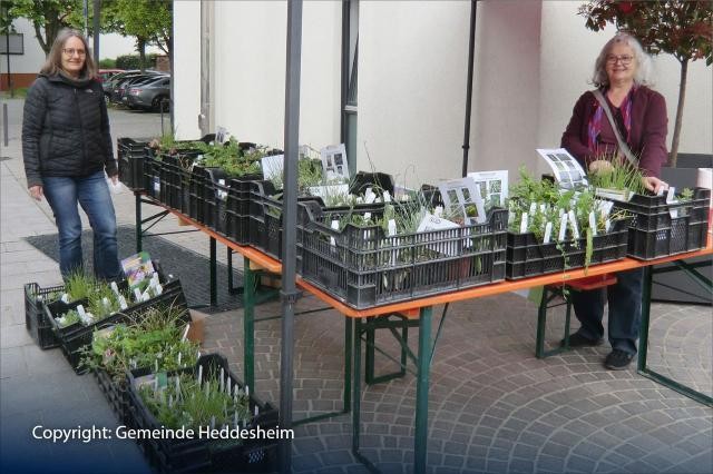 2 Personen an einem Stand mit Pflanzen