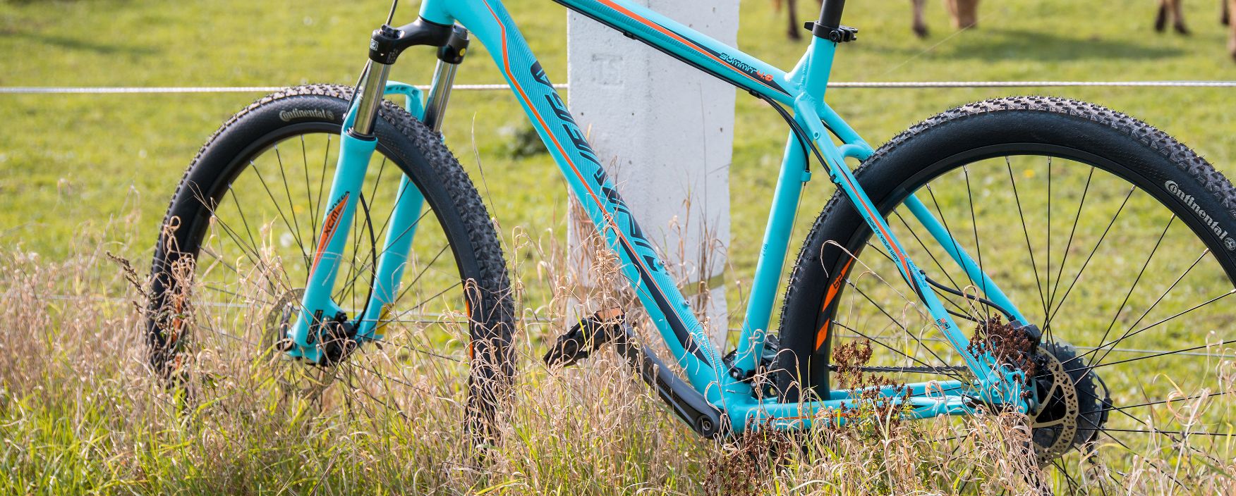 Fahrrad auf einer Wiese